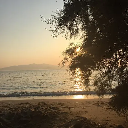 Depis Sea Side Private * Mikrí Vígla